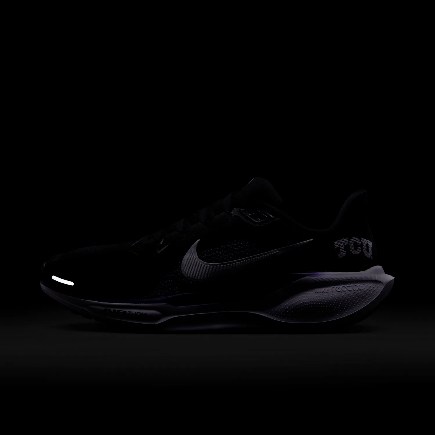 TCU Pegasus 41 image 9