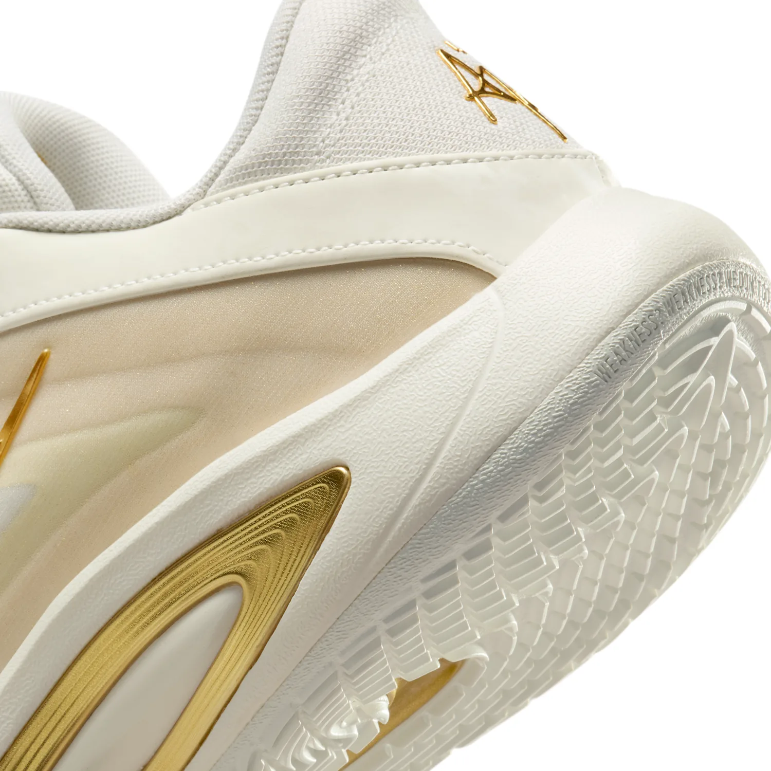 A'One "dyNASTY" image 8