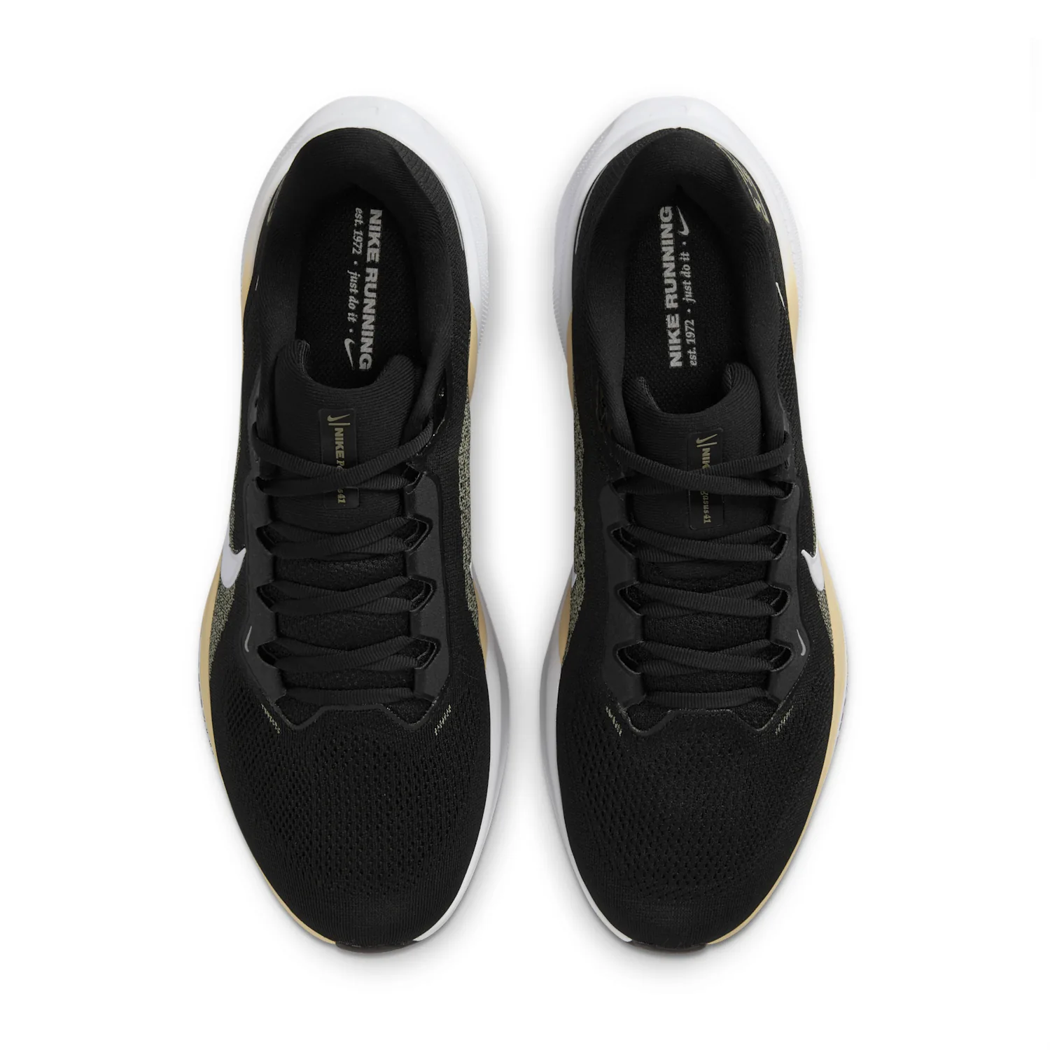 Purdue Pegasus 41 image 4