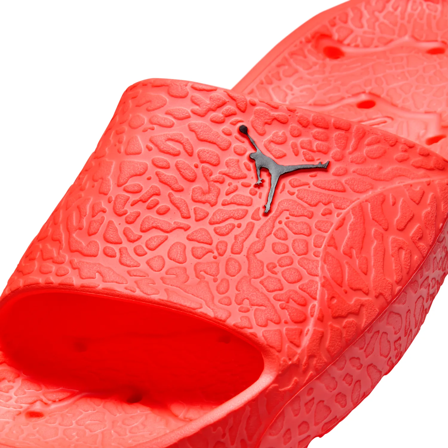 Jordan Franchise image 6