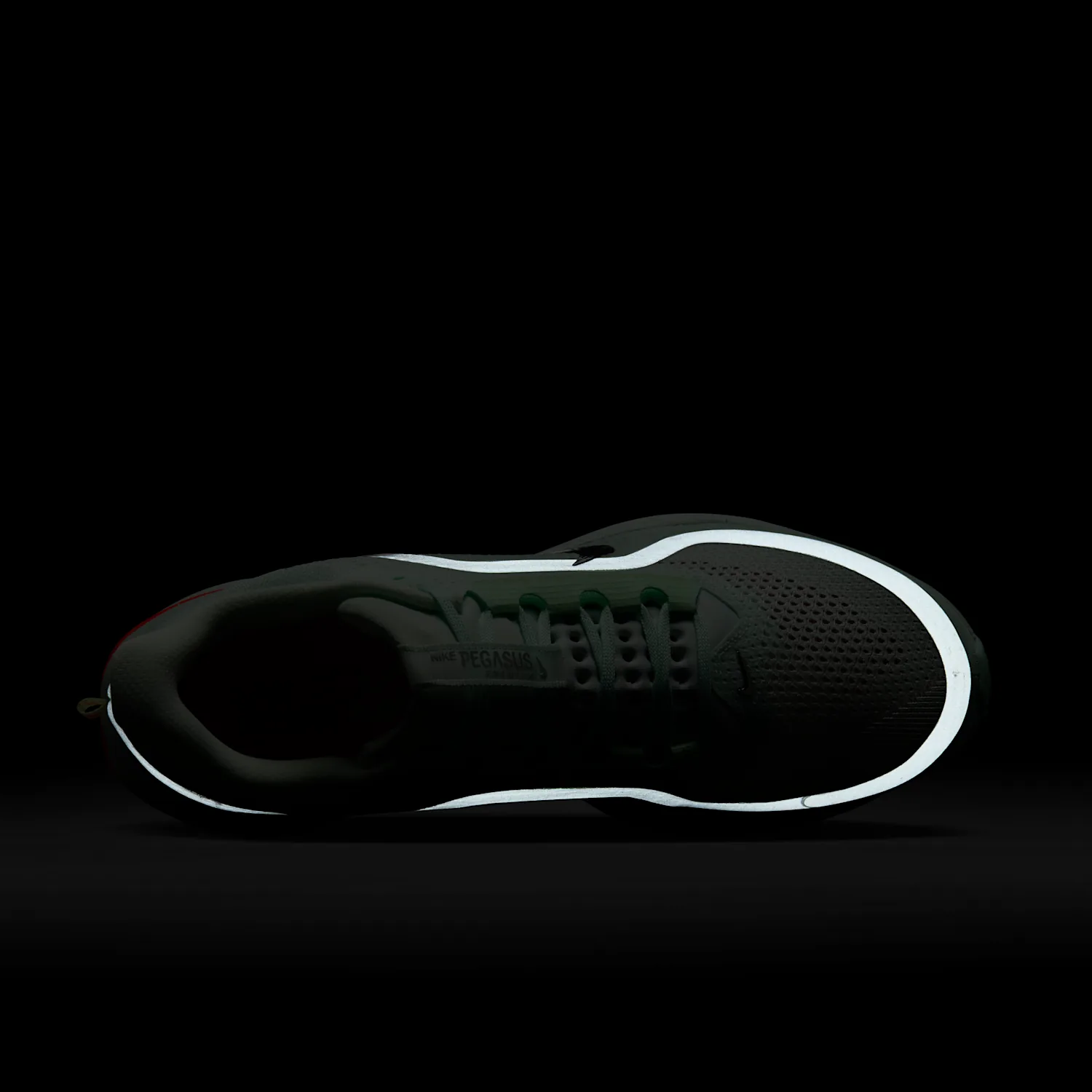 Nike Pegasus Premium image 12
