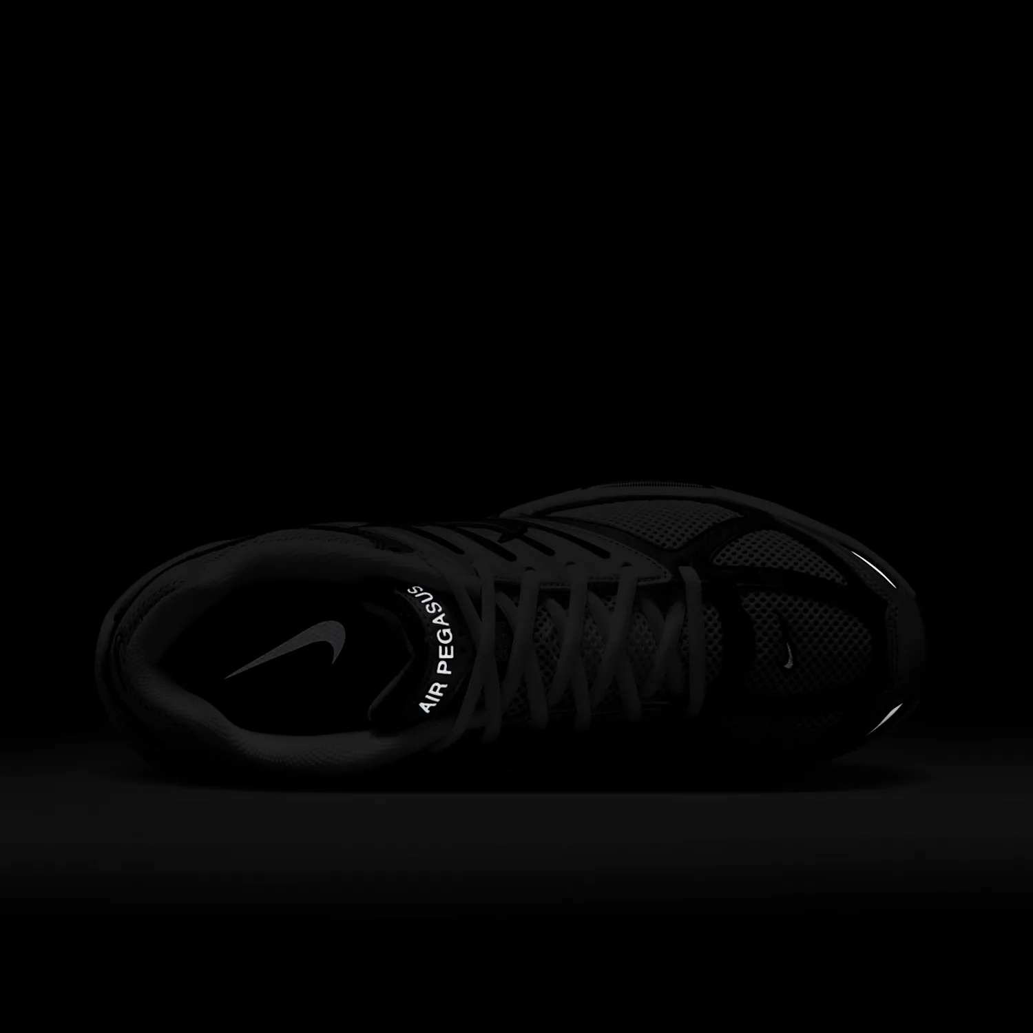 Nike Air Pegasus 2005 image 11