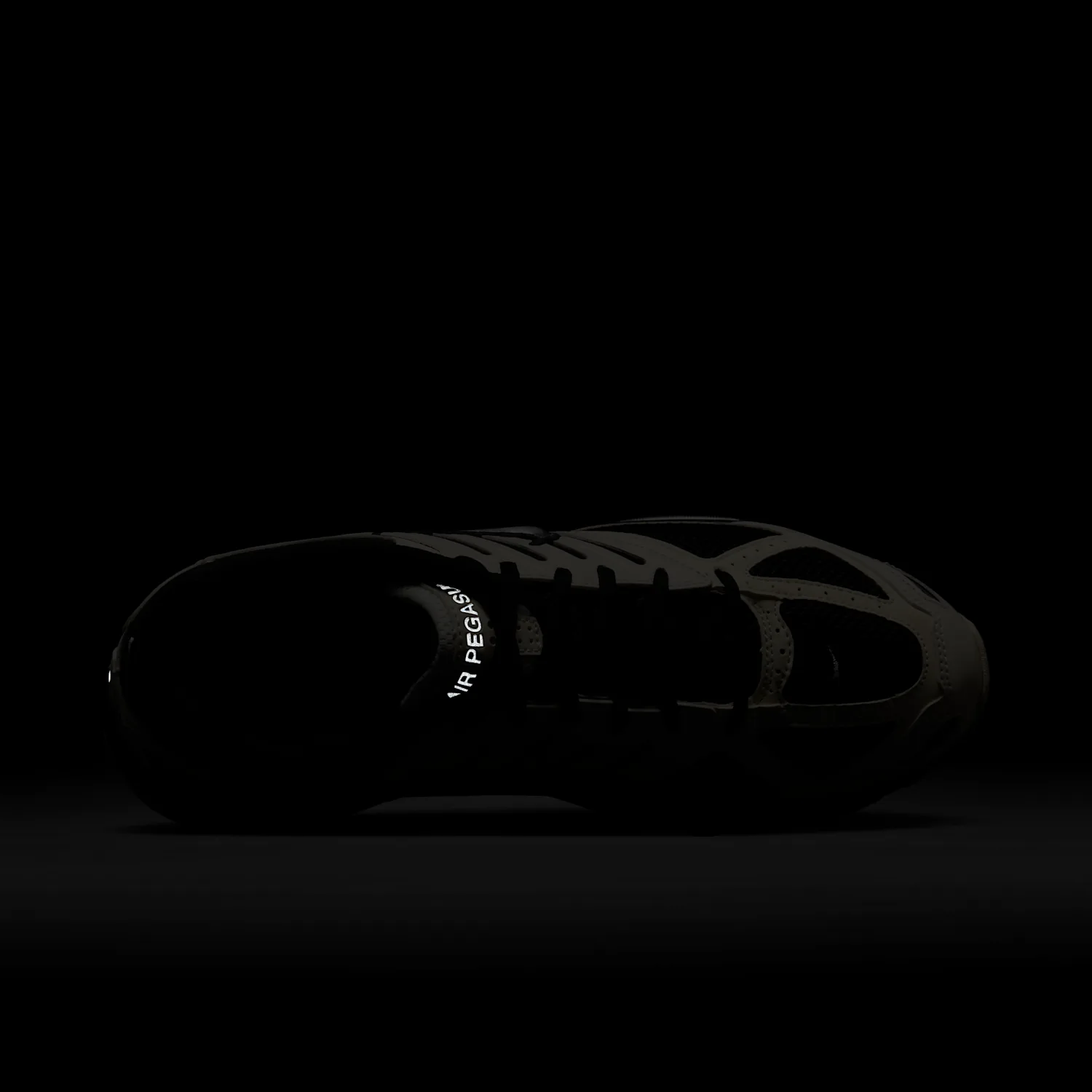 Nike Air Pegasus 2005 image 12