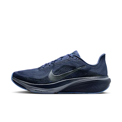 Nike Pegasus 42