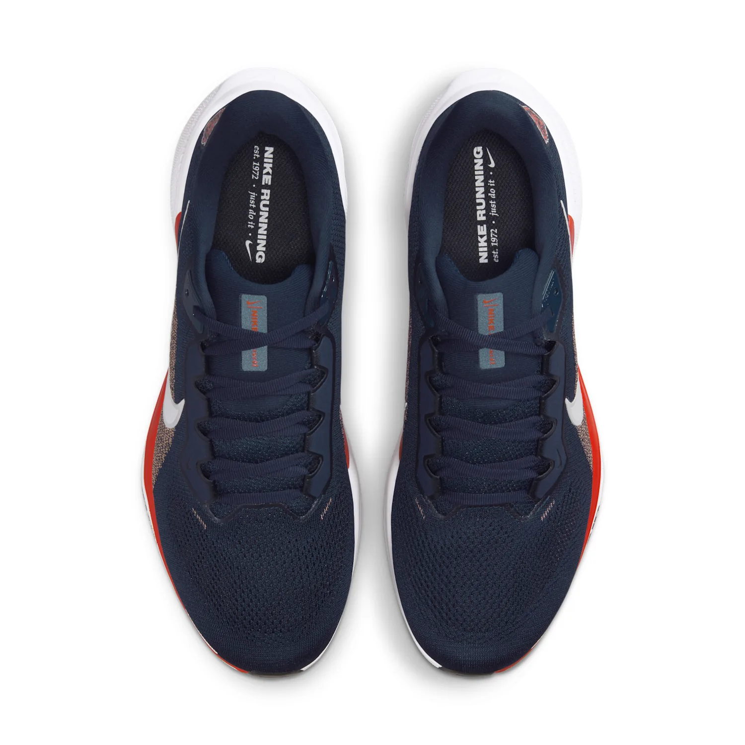 Chicago Bears Pegasus 41 image 4