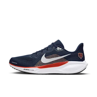 Chicago Bears Pegasus 41