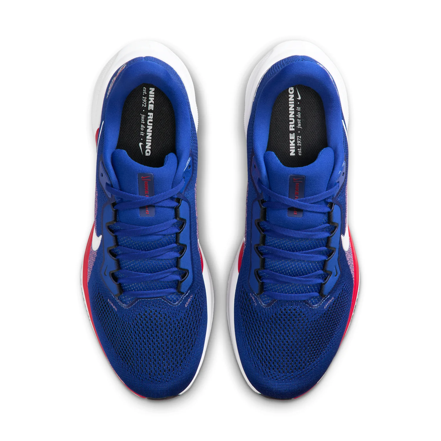 Buffalo Bills Pegasus 41 image 4