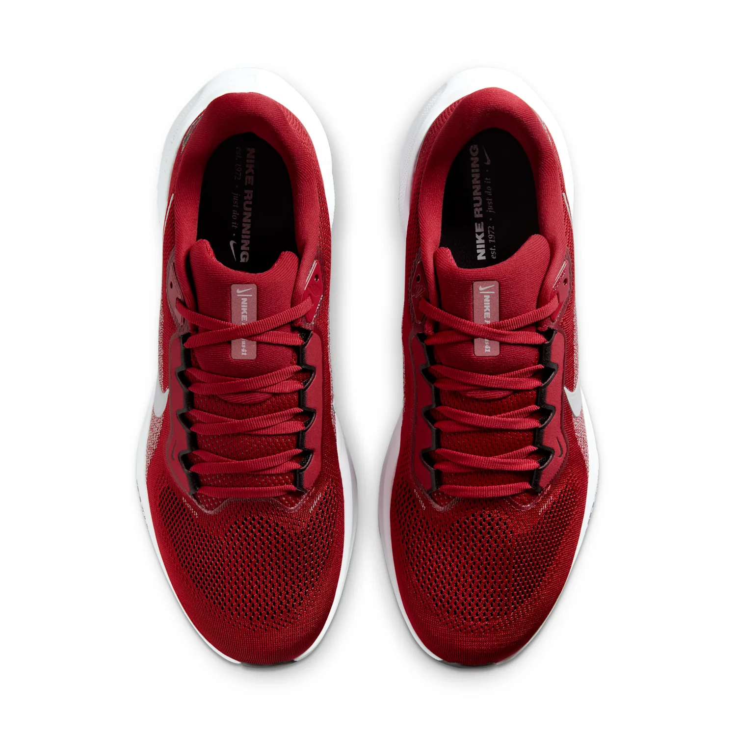 Arizona Cardinals Pegasus 41 image 4