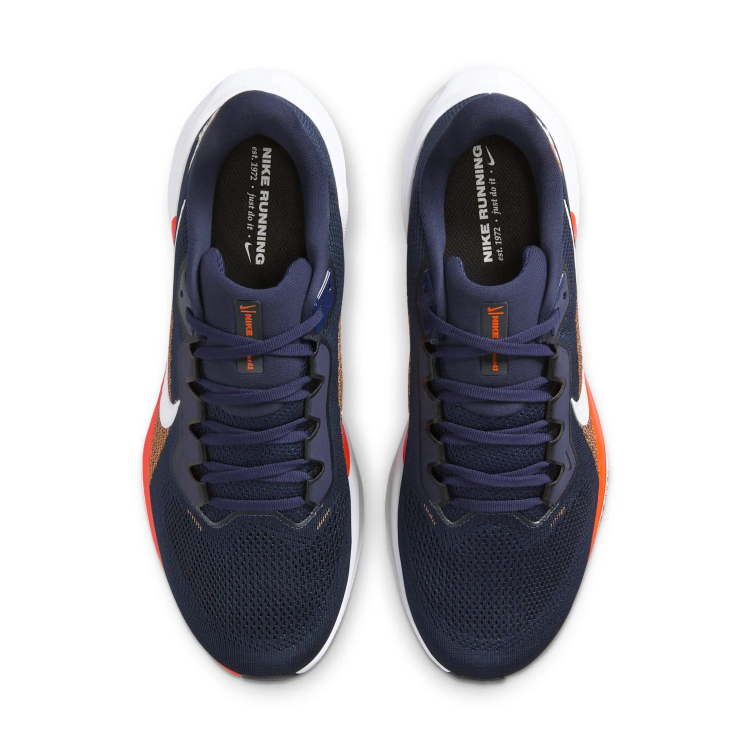 Denver Broncos Pegasus 41 image 4