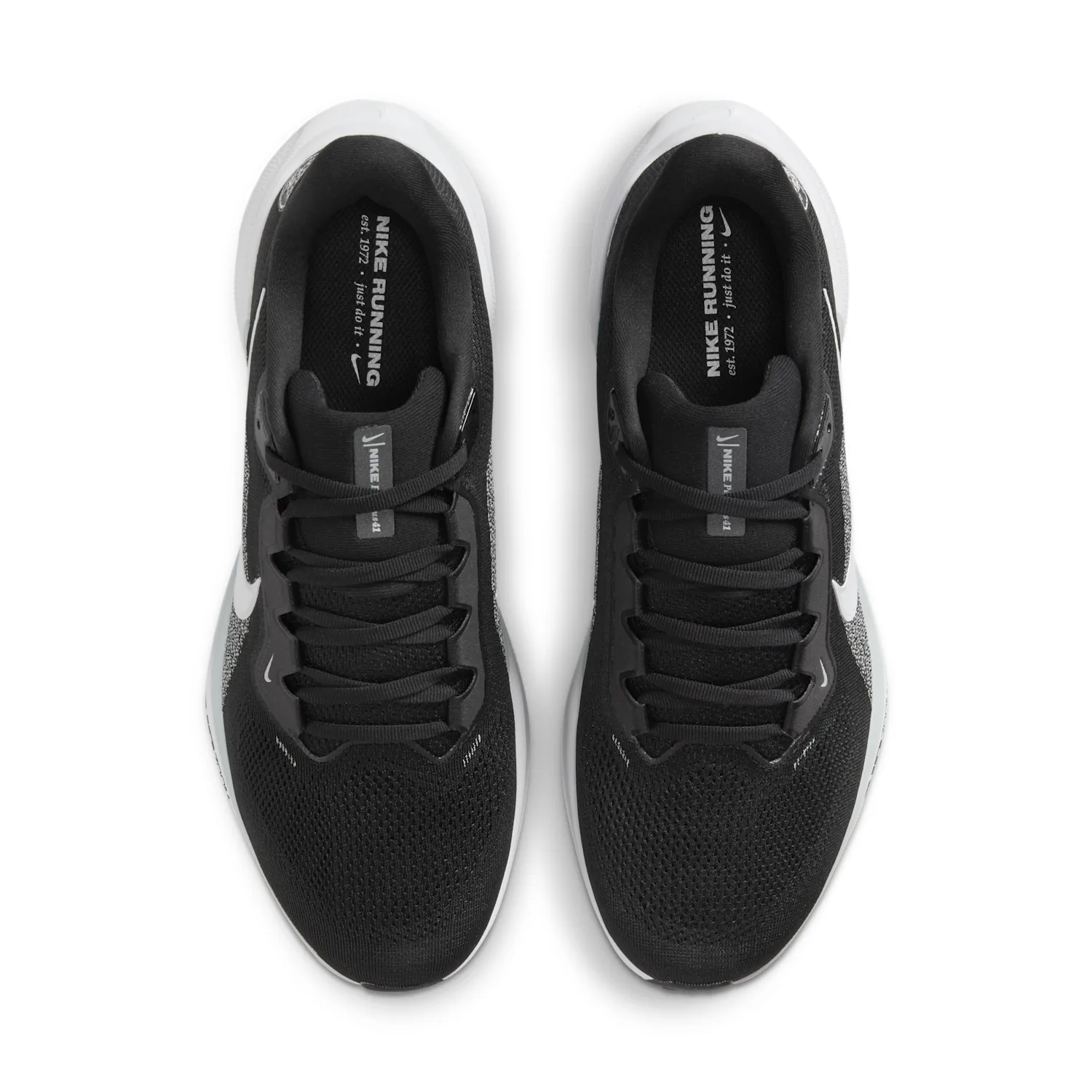 Las Vegas Raiders Pegasus 41 image 4