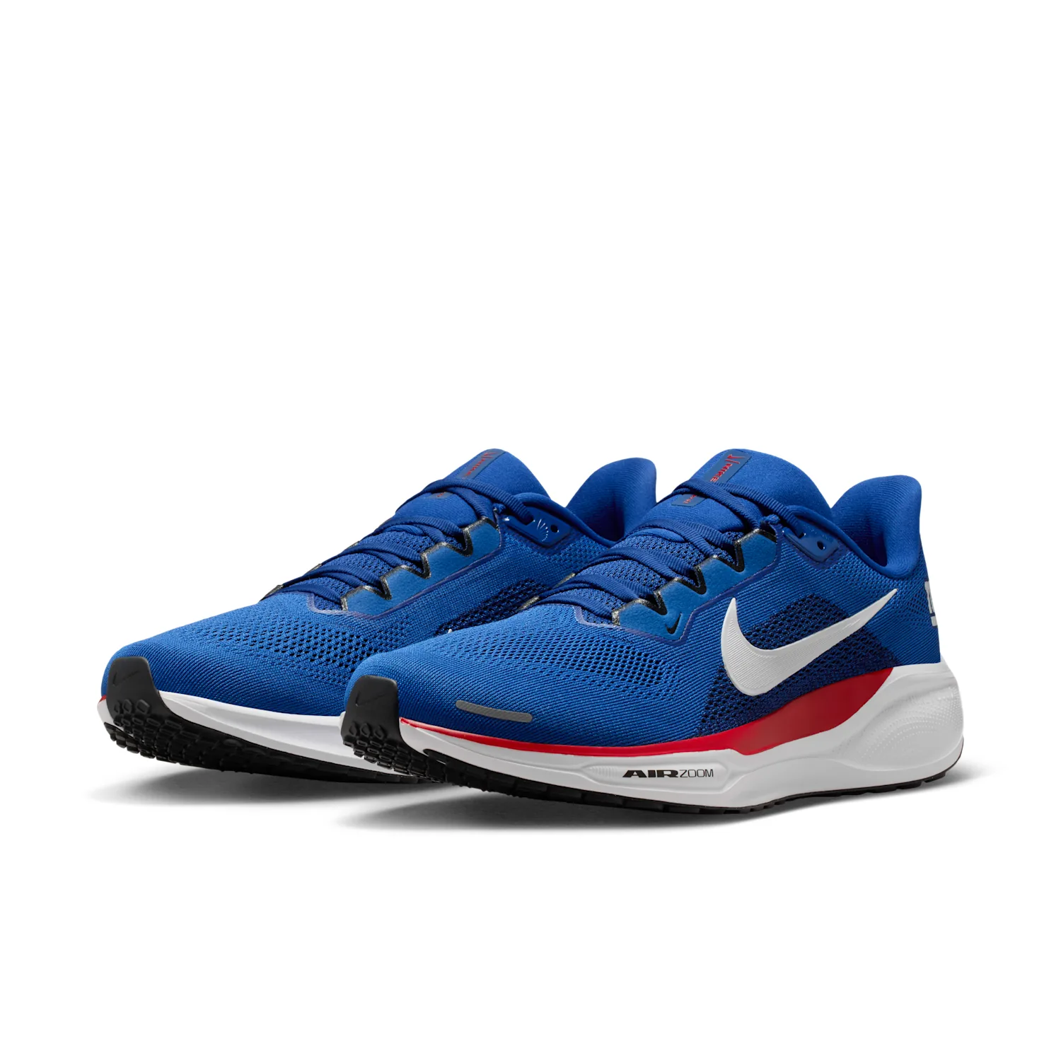 New York Giants Pegasus 41 image 5