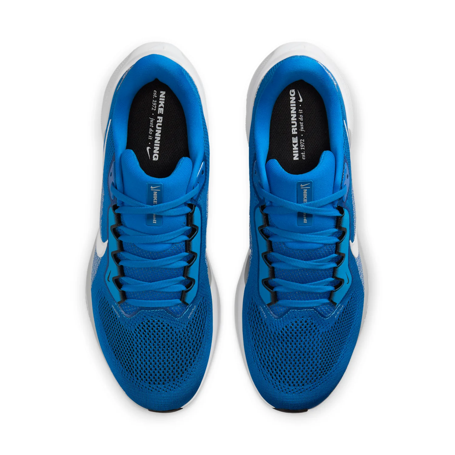 Detroit Lions Pegasus 41 image 4