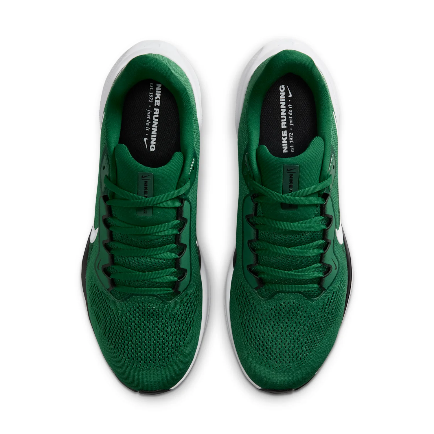 New York Jets Pegasus 41 image 4