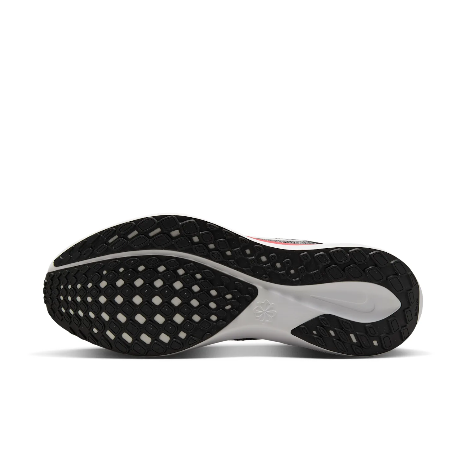 Atlanta Falcons Pegasus 41 image 2