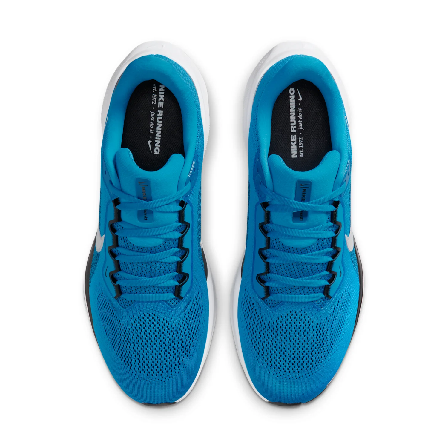 Carolina Panthers Pegasus 41 image 4