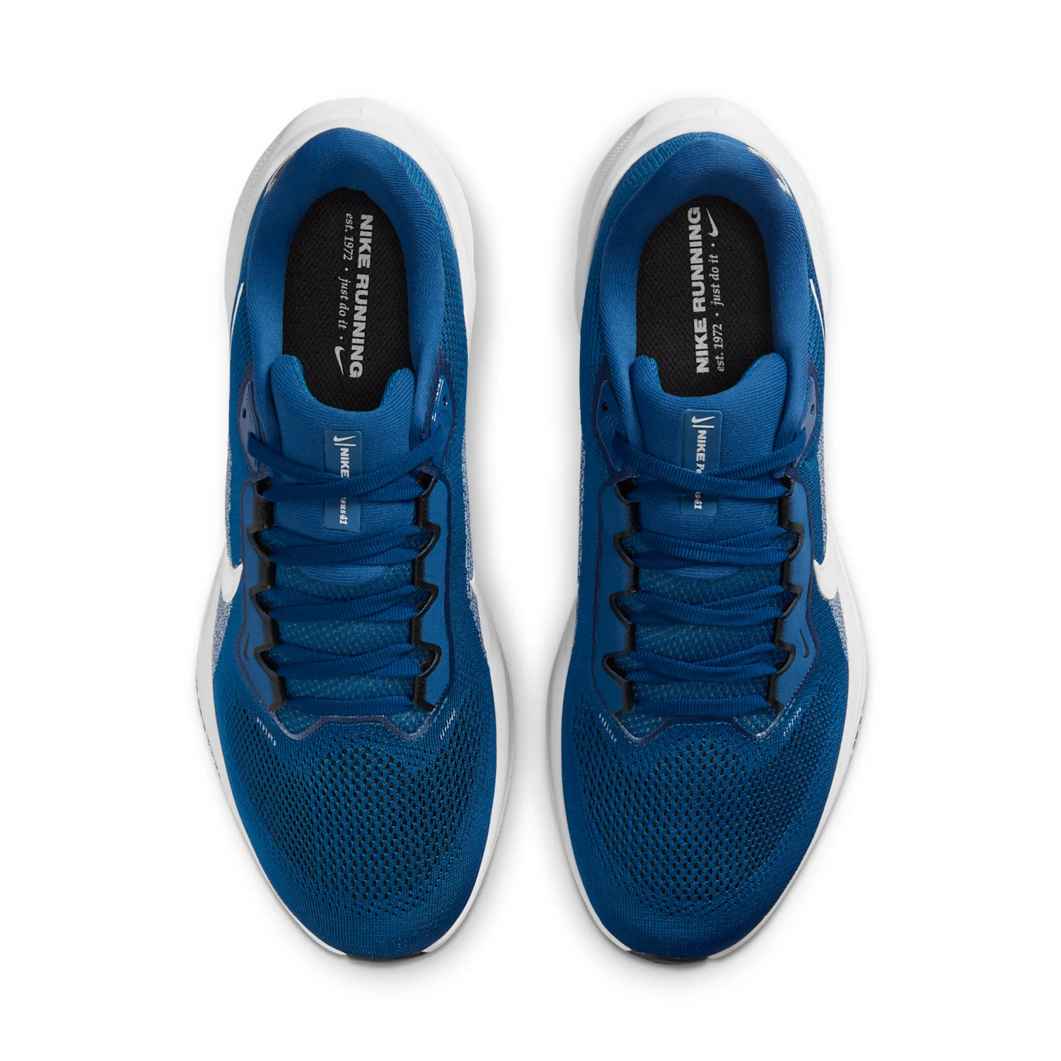 Indianapolis Colts Pegasus 41 image 4