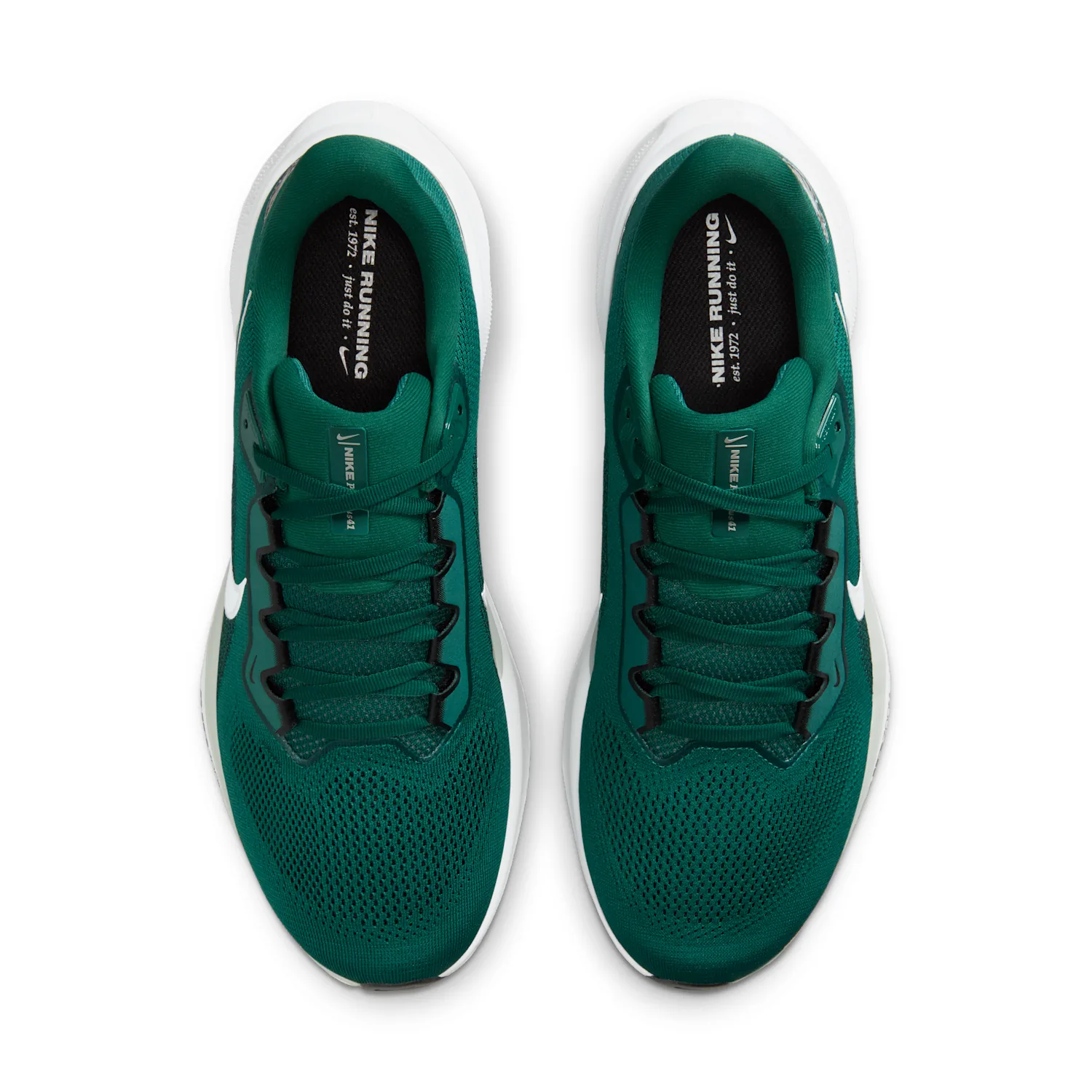 Philadelphia Eagles Pegasus 41 image 4