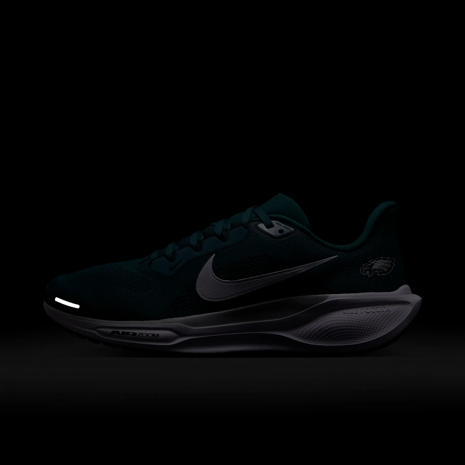 Philadelphia Eagles Pegasus 41 image 9