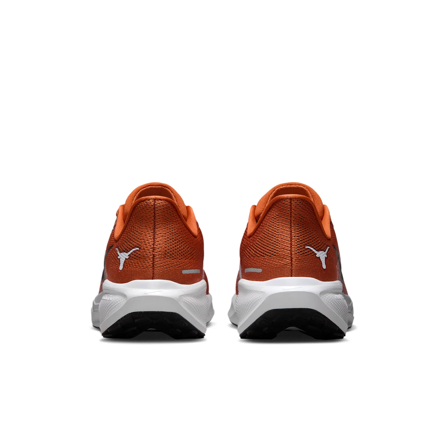 Texas Pegasus 41 image 6