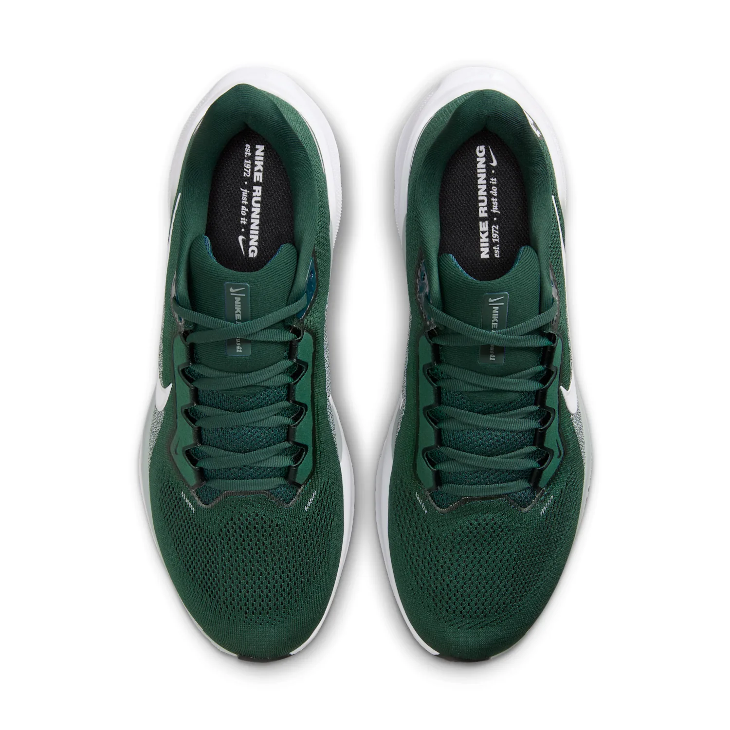 Michigan State Pegasus 41 image 4