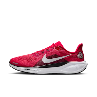 Ohio State Pegasus 41