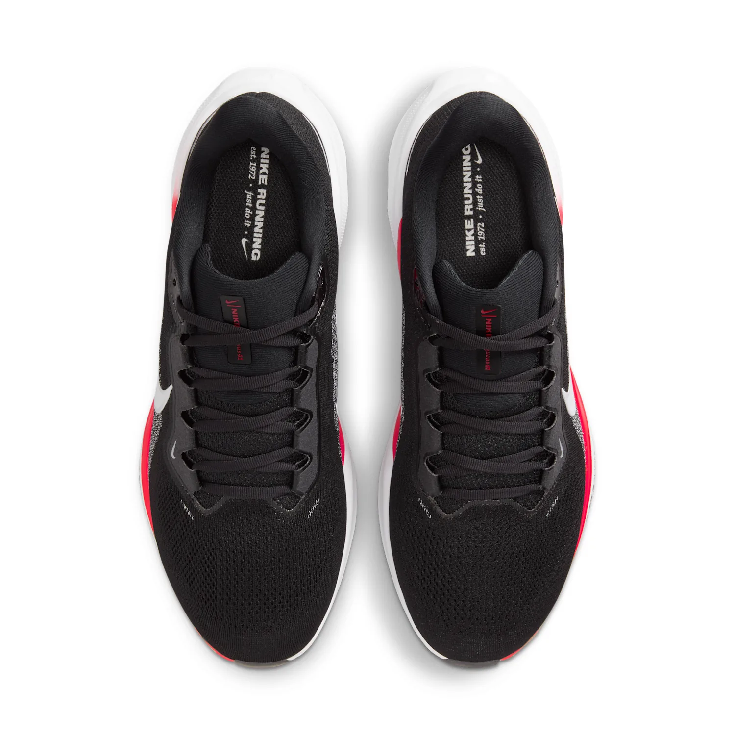 Georgia Pegasus 41 image 4