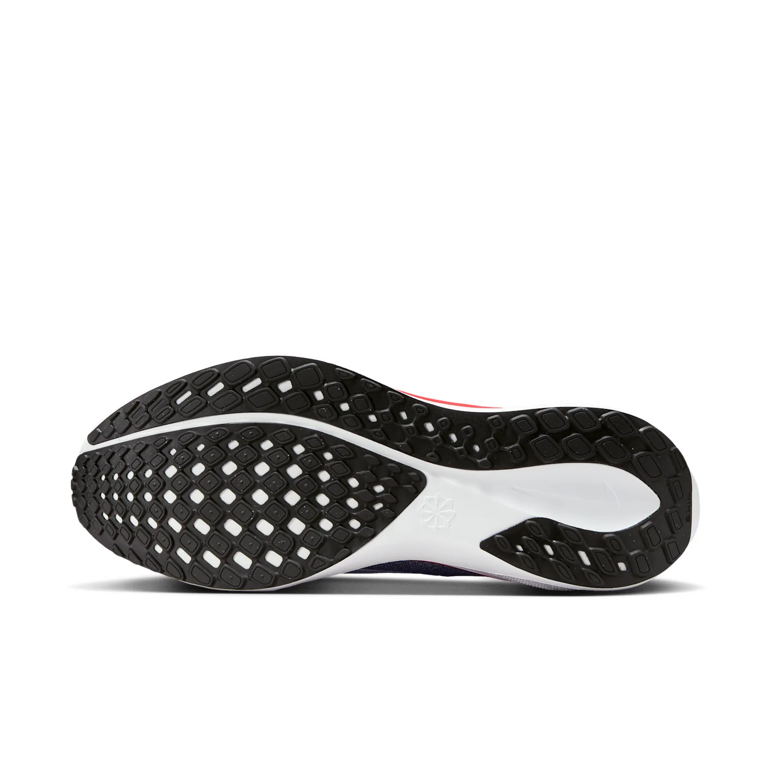 Arizona Pegasus 41 image 2