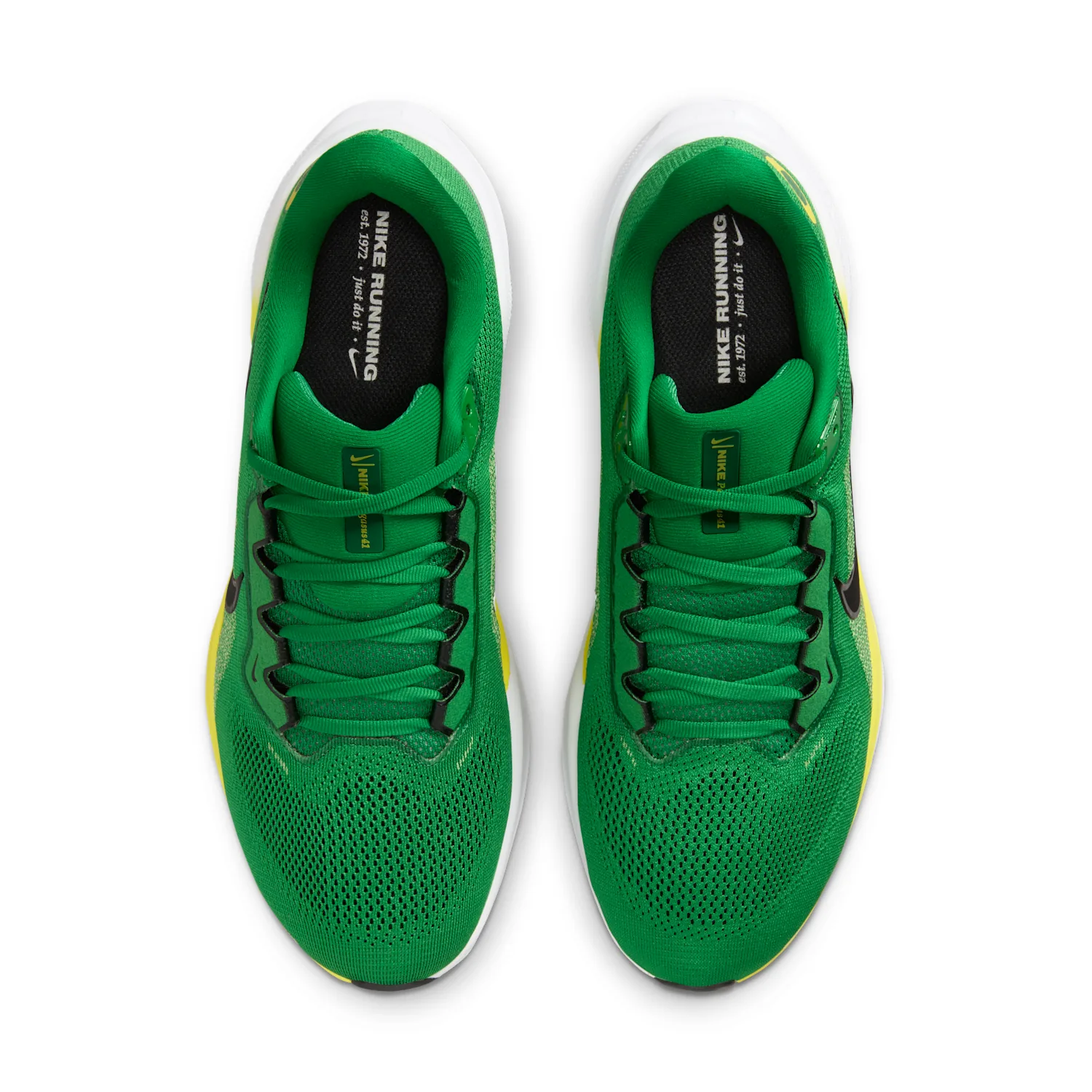 Oregon Pegasus 41 image 4