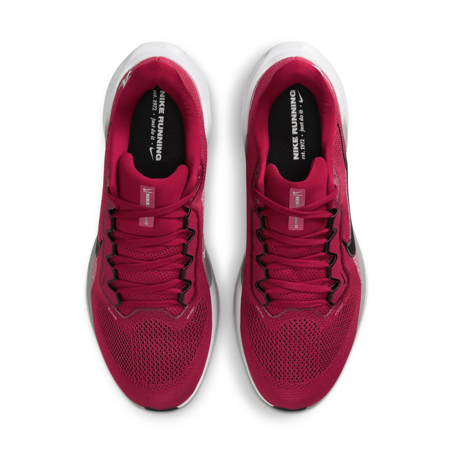 Alabama Pegasus 41 image 4