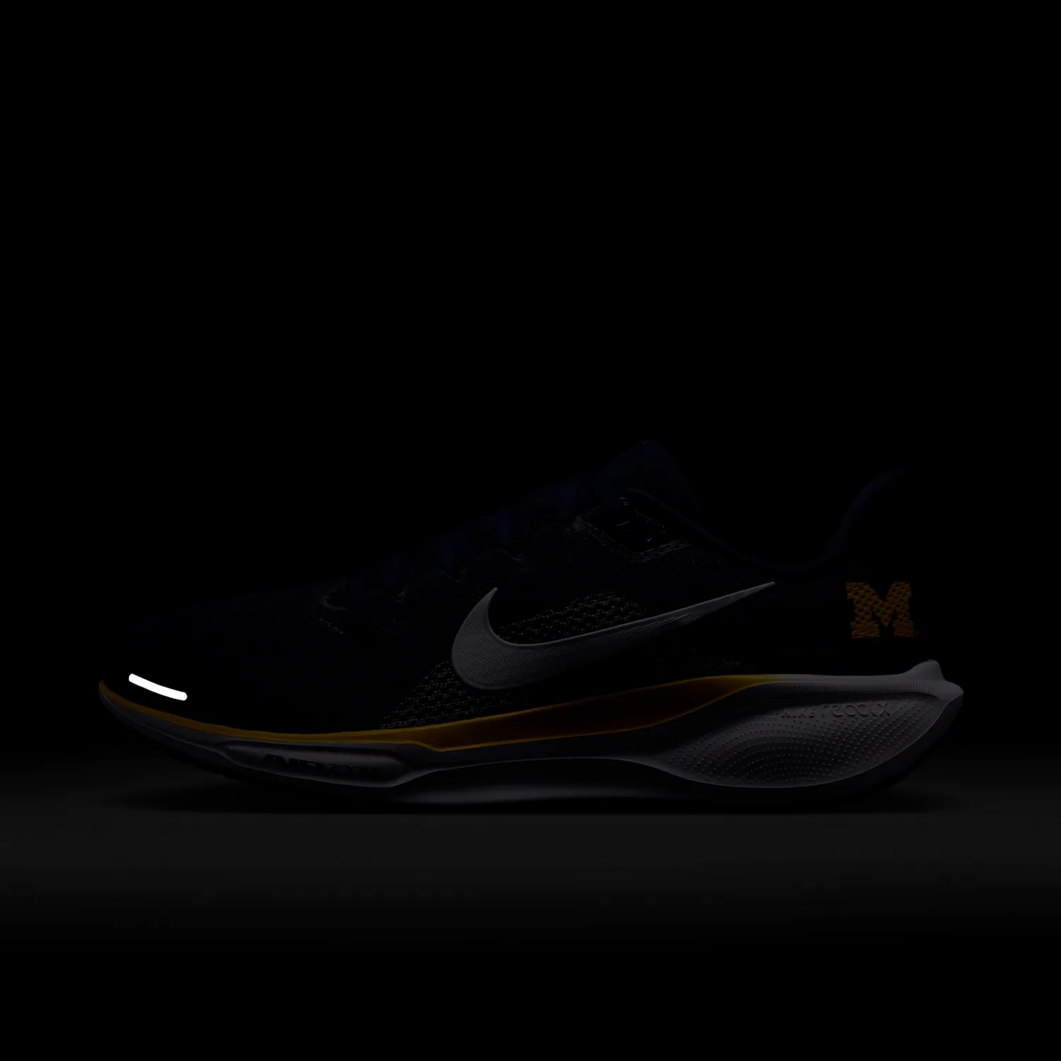 Michigan Pegasus 41 image 9