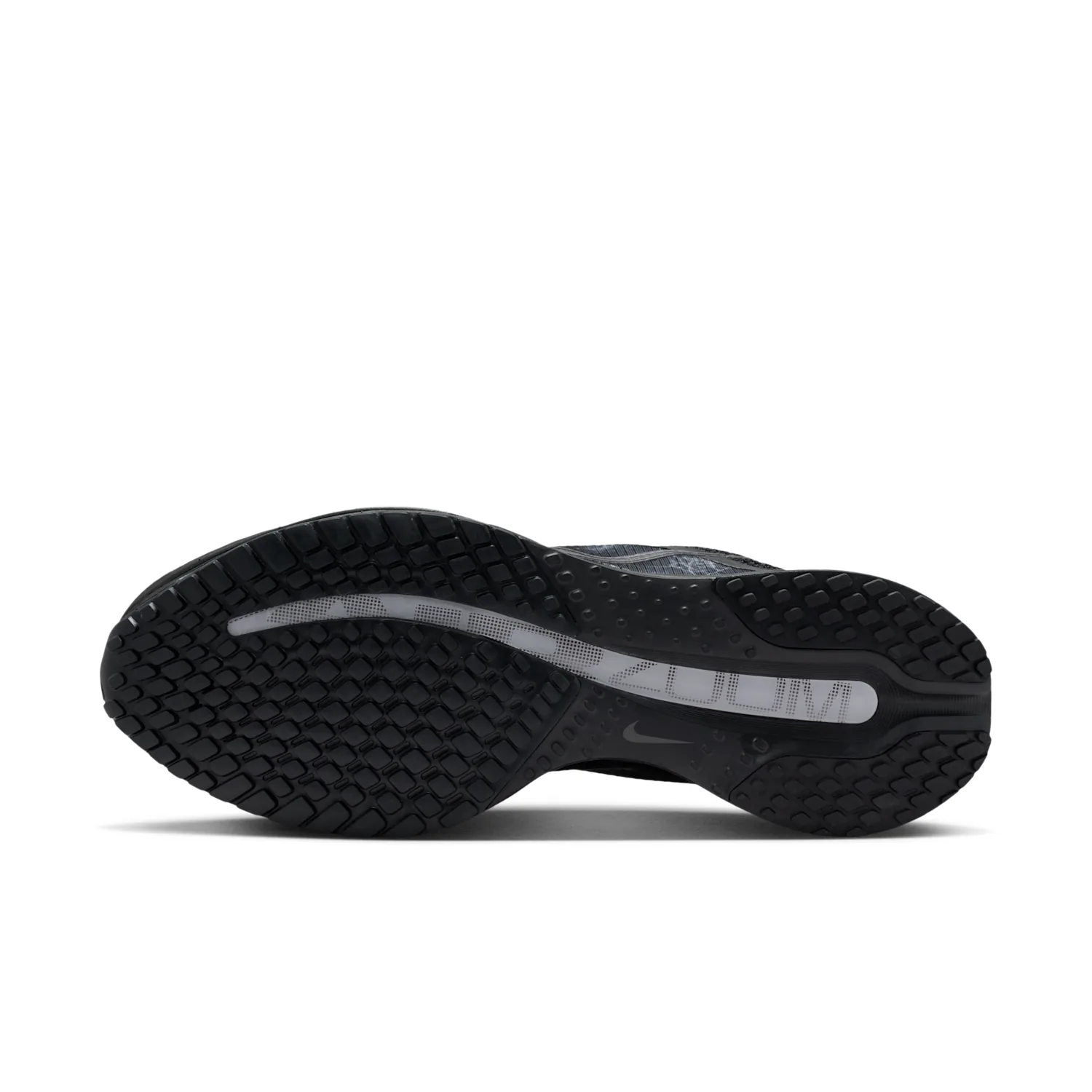 Nike Pegasus Premium image 2