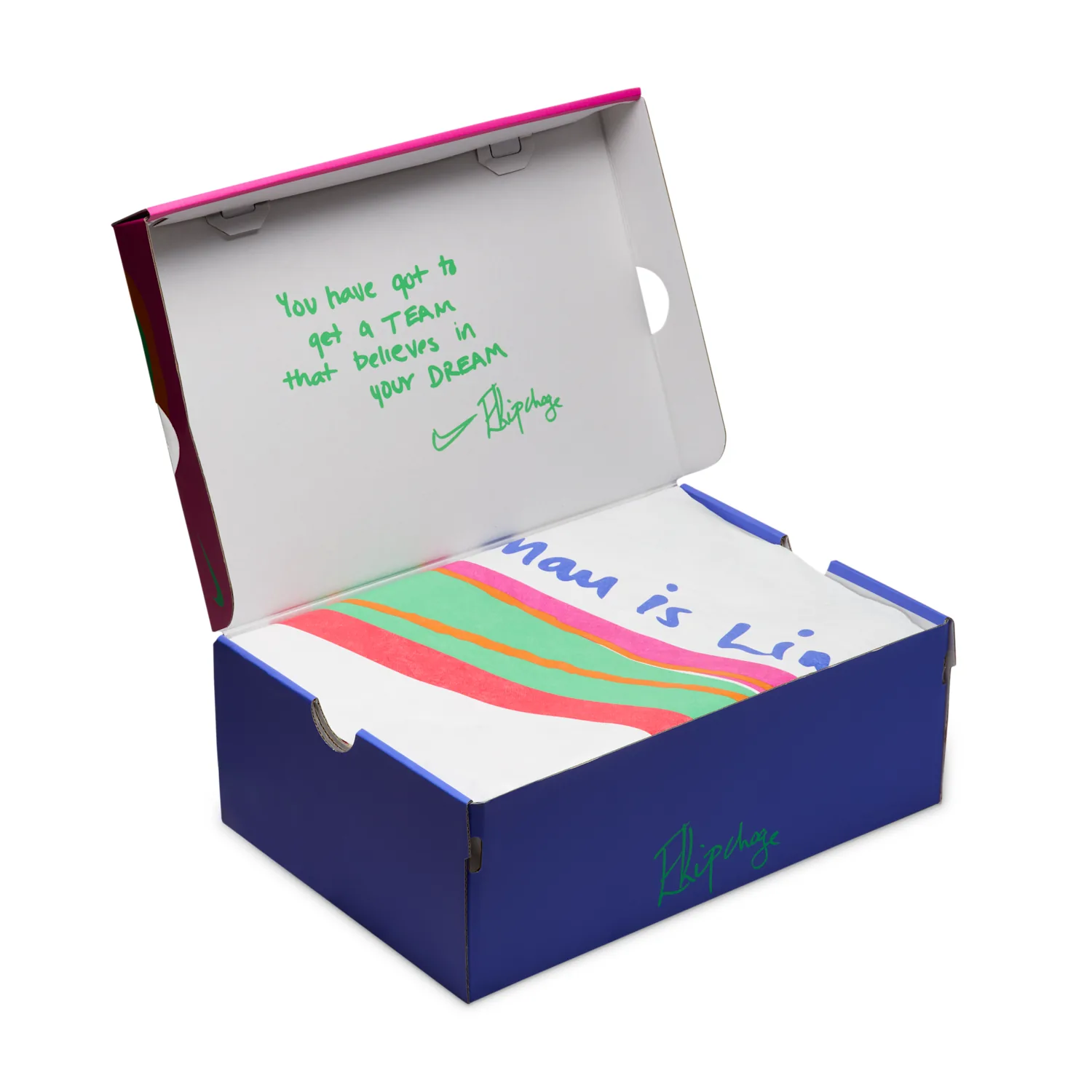 Nike Vaporfly 4 "Eliud Kipchoge" image 10