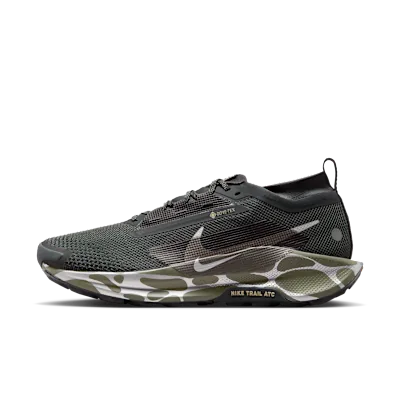 Nike Pegasus Trail 5 GORE-TEX