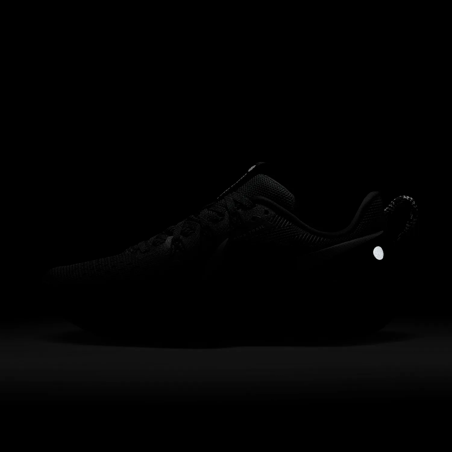 Nike Pegasus Trail 5 image 2