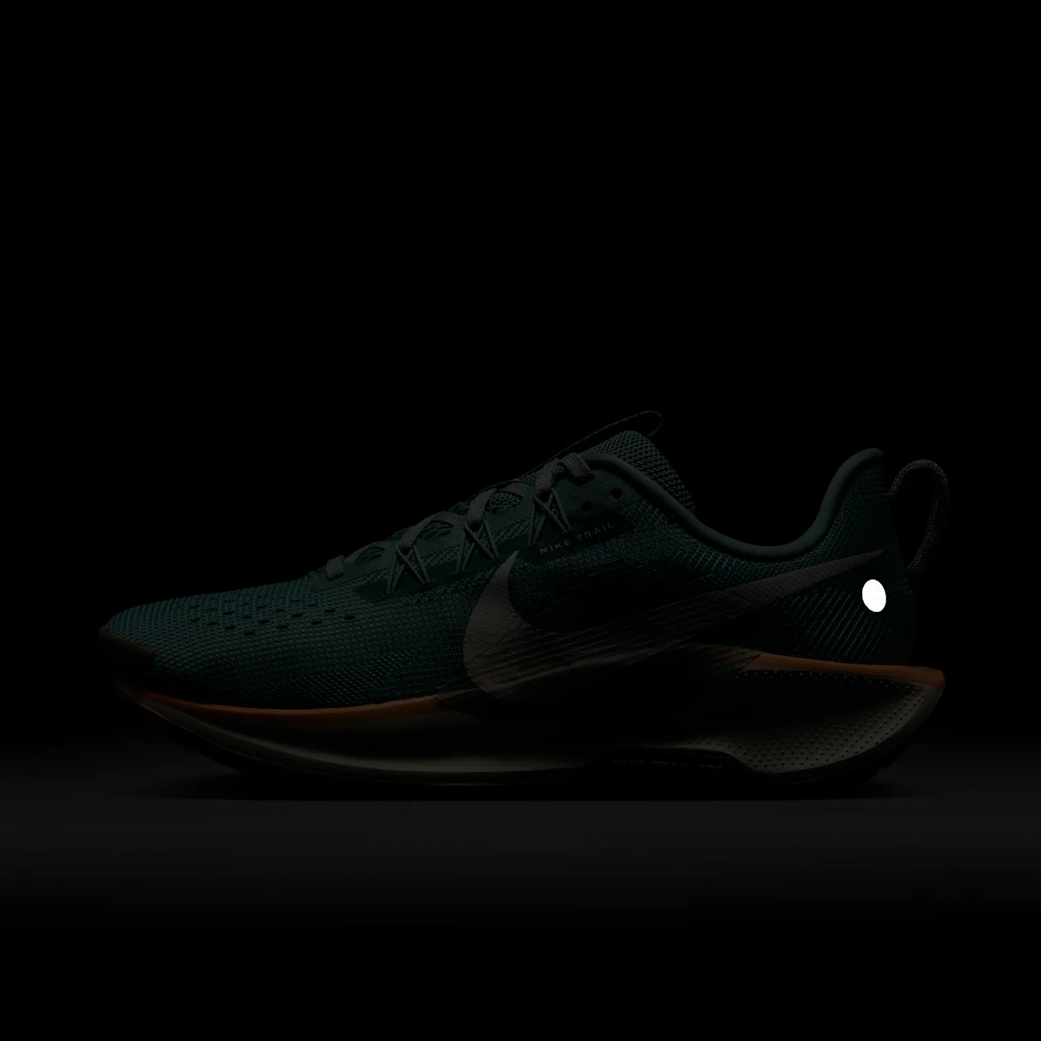 Nike Pegasus Trail 5 image 2