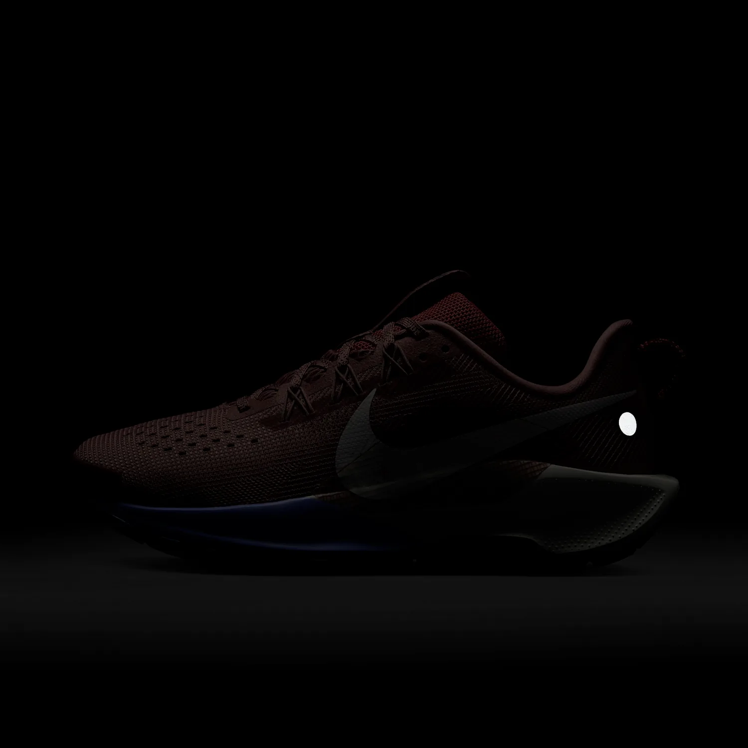 Nike Pegasus Trail 5 image 2