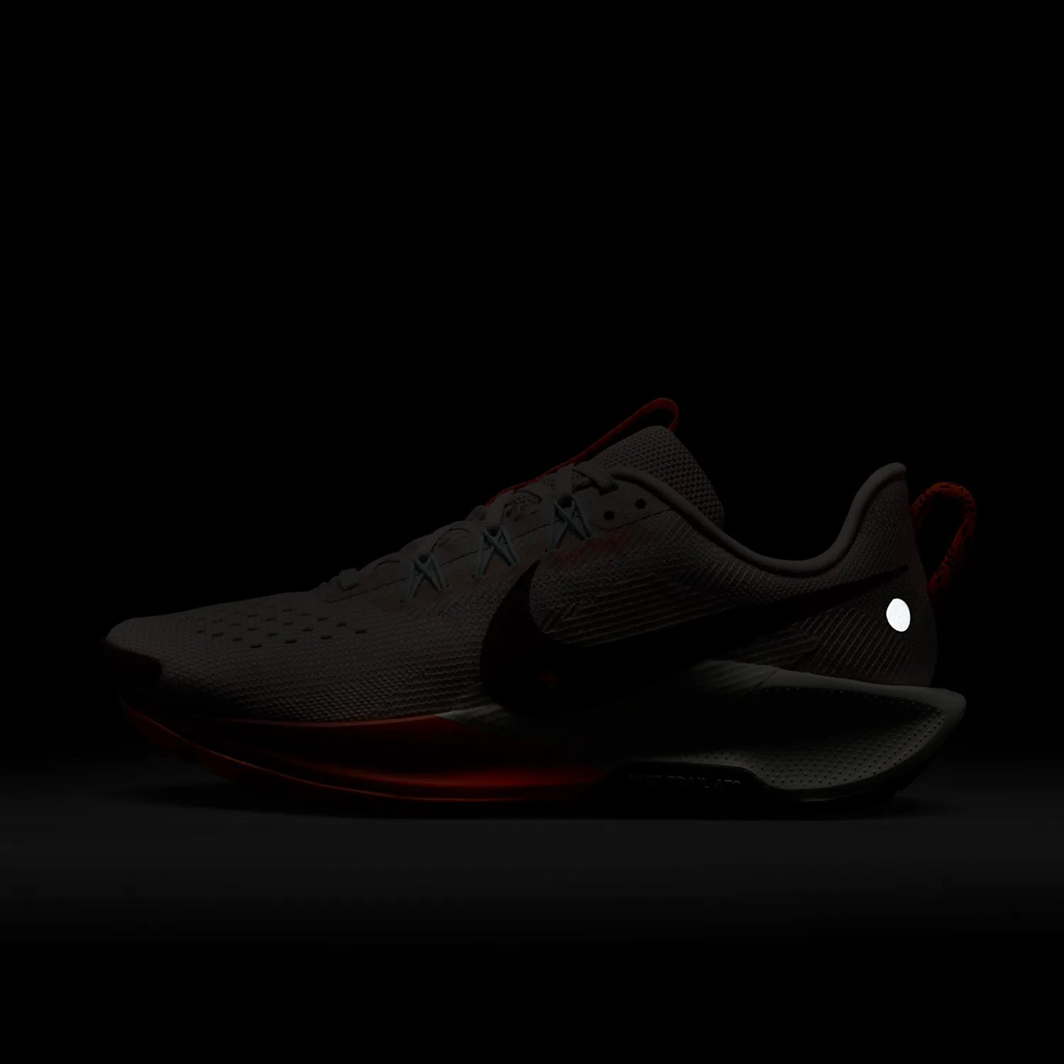 Nike Pegasus Trail 5 image 2