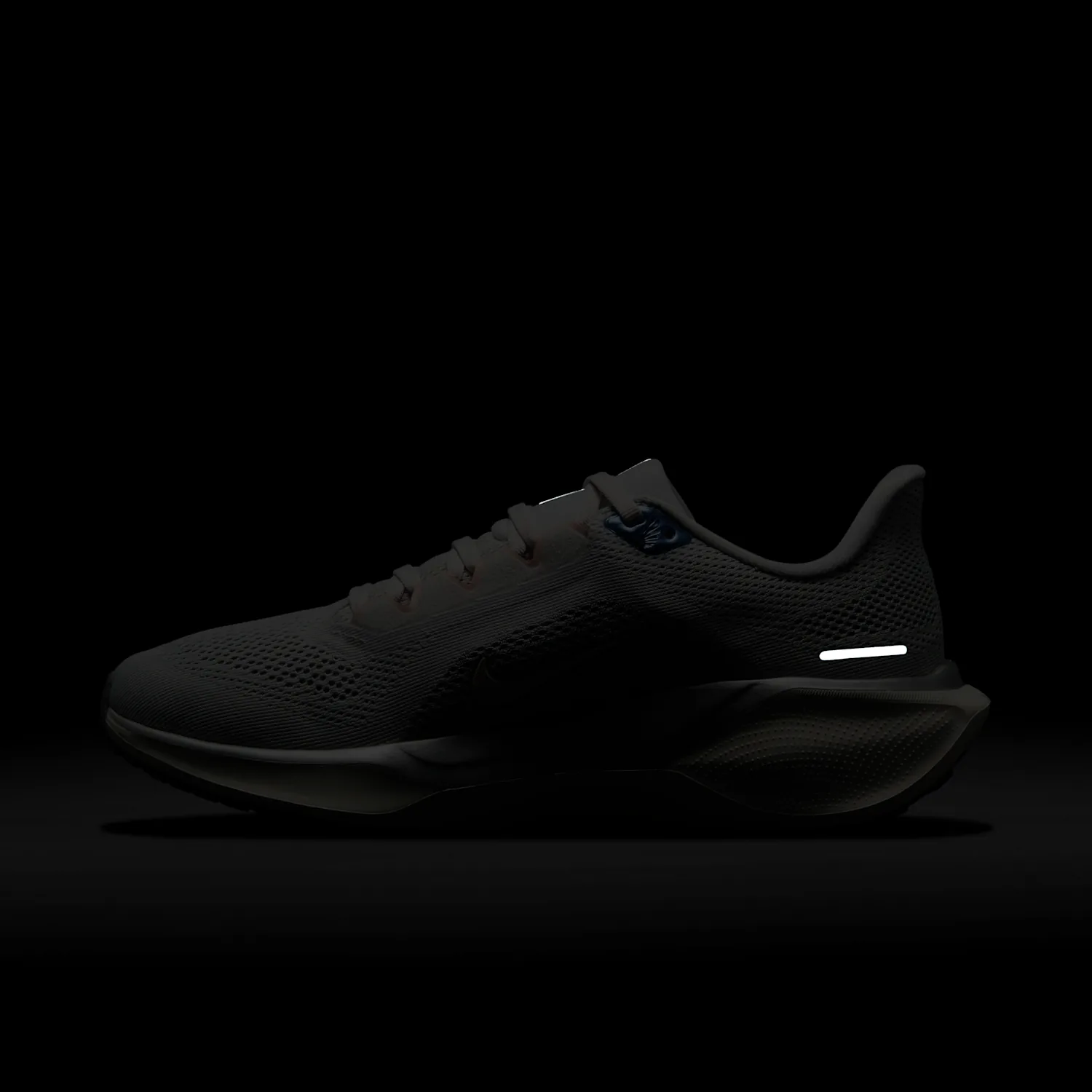 Nike Pegasus 41 image 3