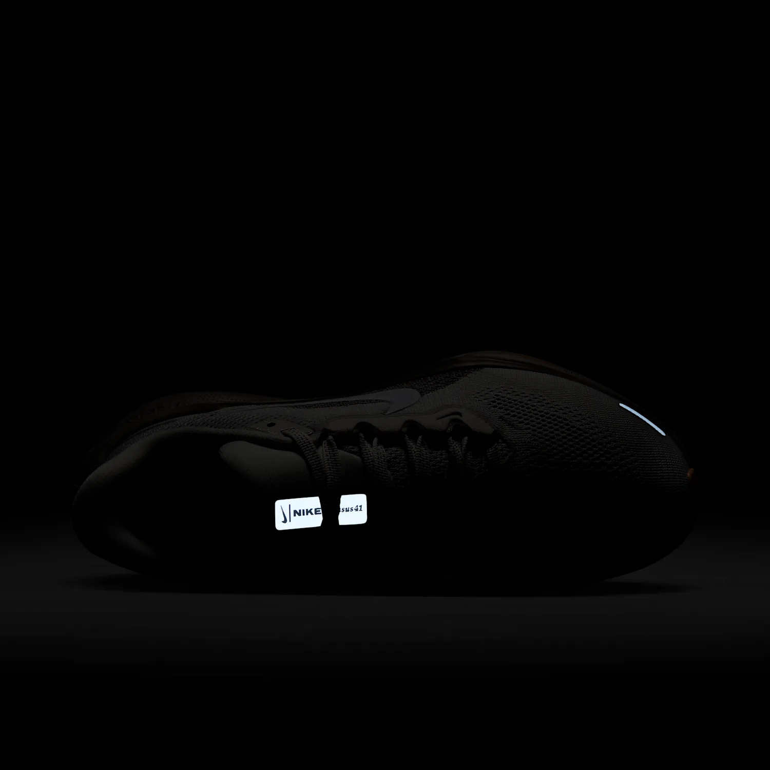 Nike Pegasus 41 image 12