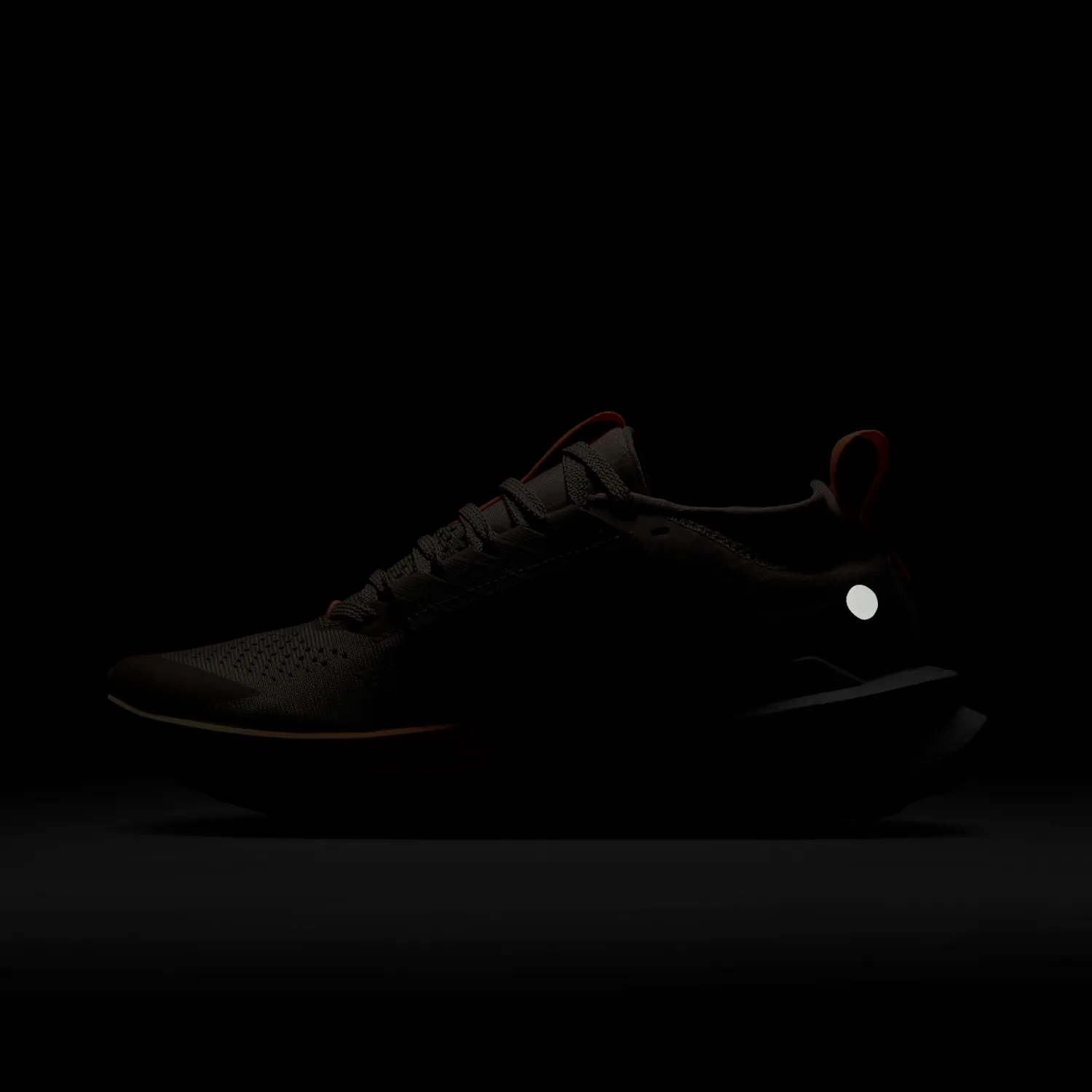 Nike Zegama 2 image 2