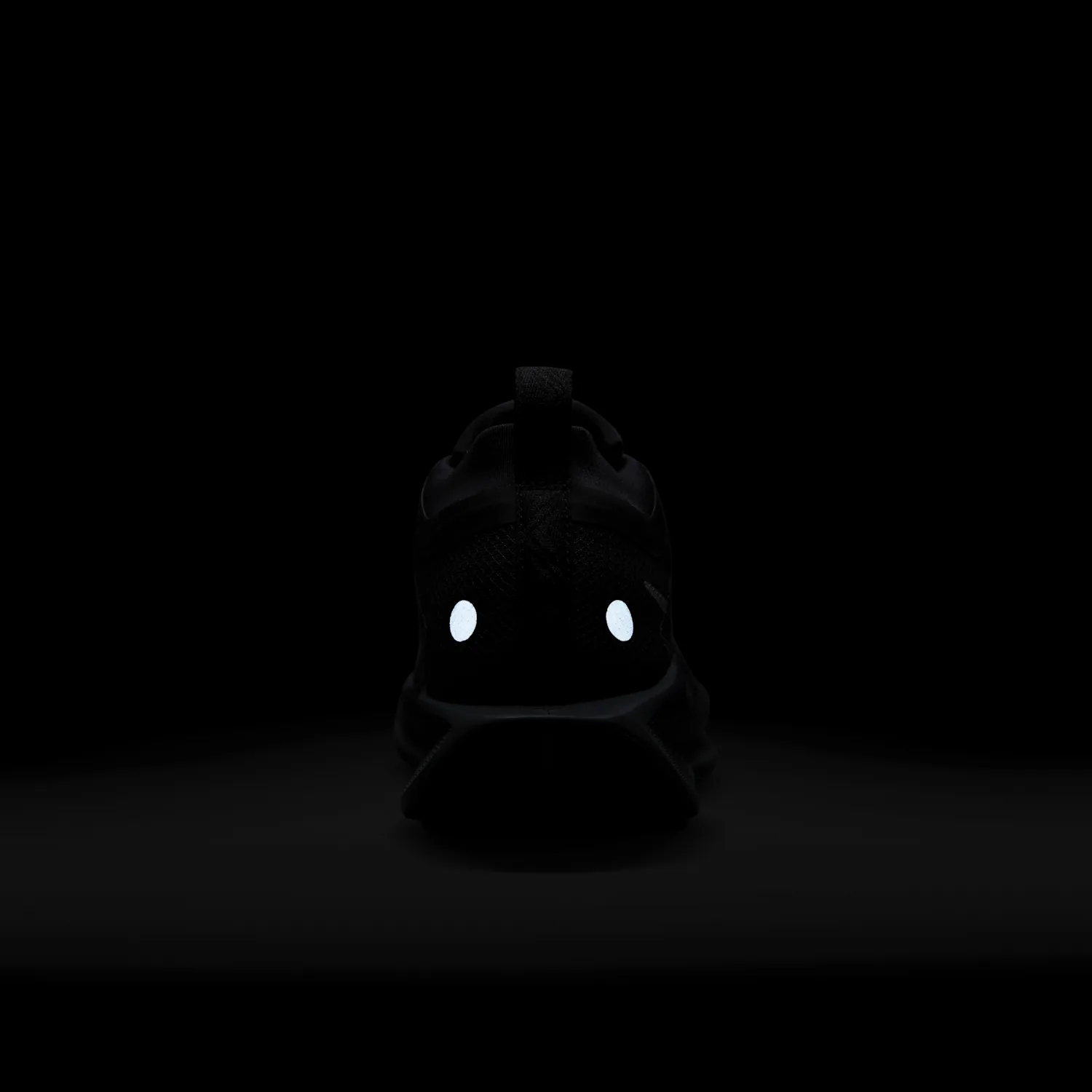 Nike Pegasus Trail 5 GORE-TEX image 10