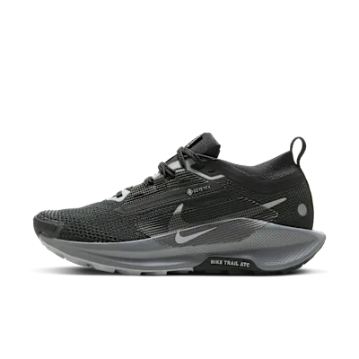 Nike Pegasus Trail 5 GORE-TEX