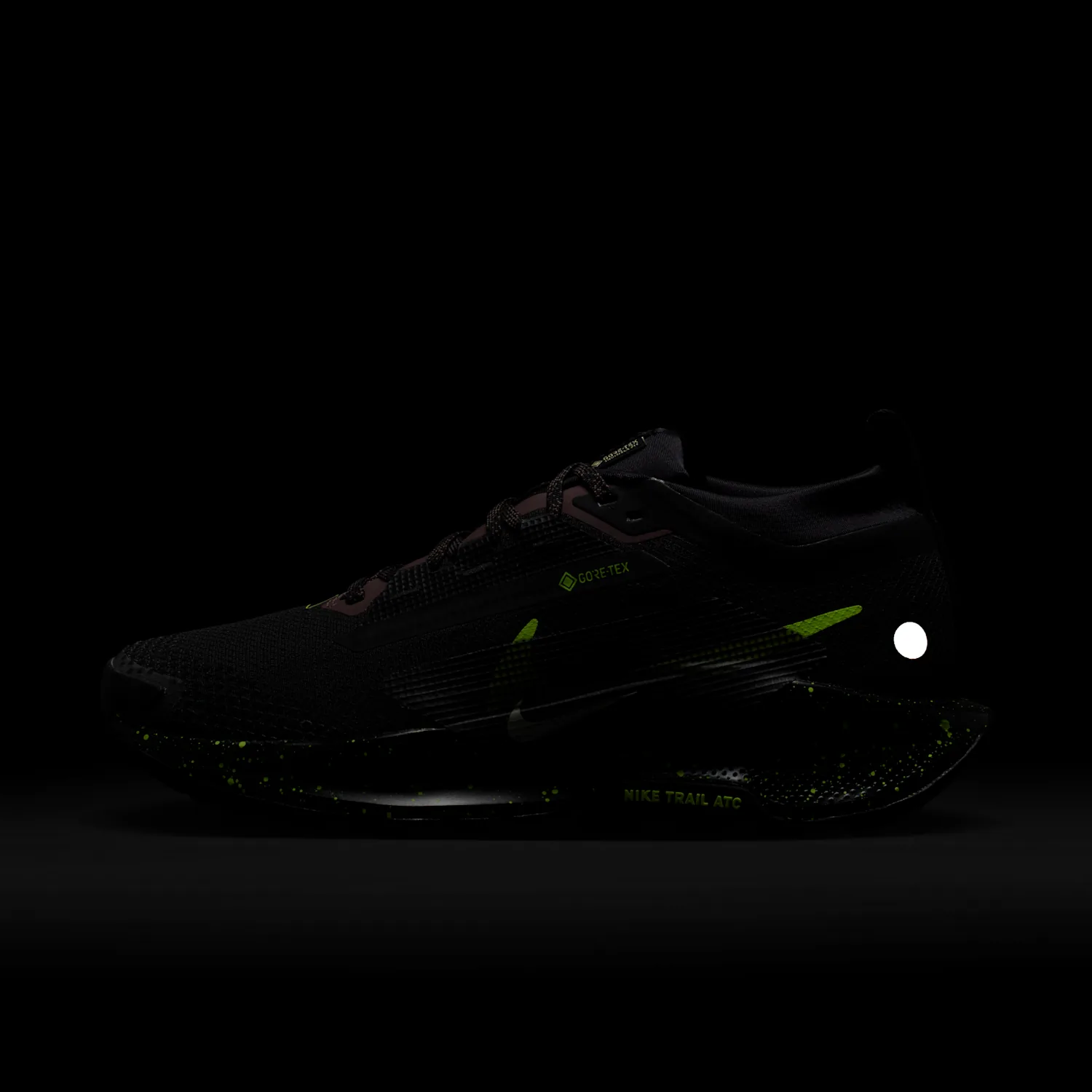 Nike Pegasus Trail 5 GORE-TEX image 10