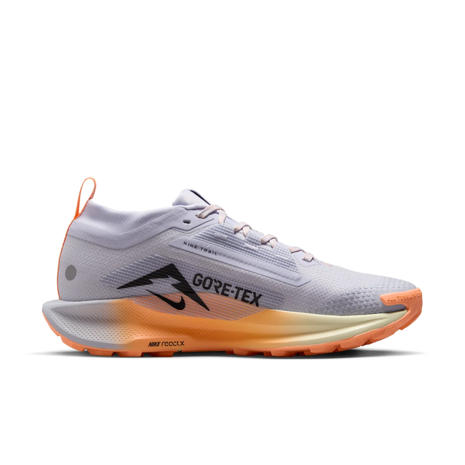 Nike Pegasus Trail 5 GORE-TEX image 3