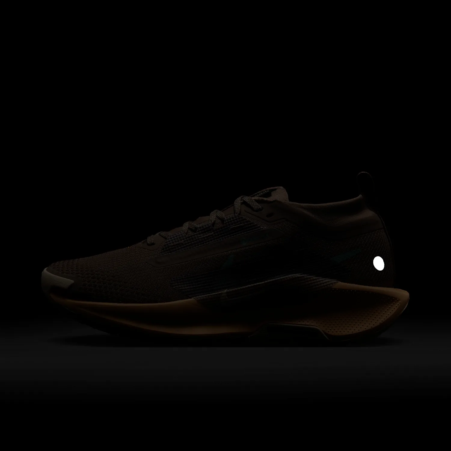 Nike Pegasus Trail 5 GORE-TEX image 2