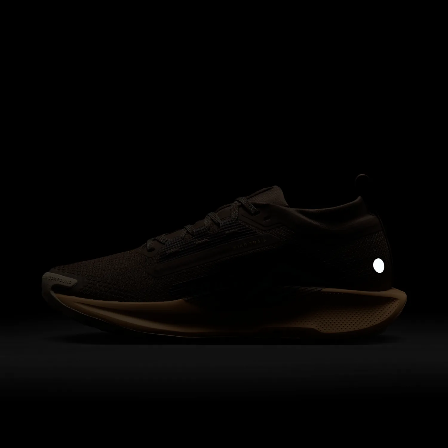 Nike Pegasus Trail 5 GORE-TEX image 3