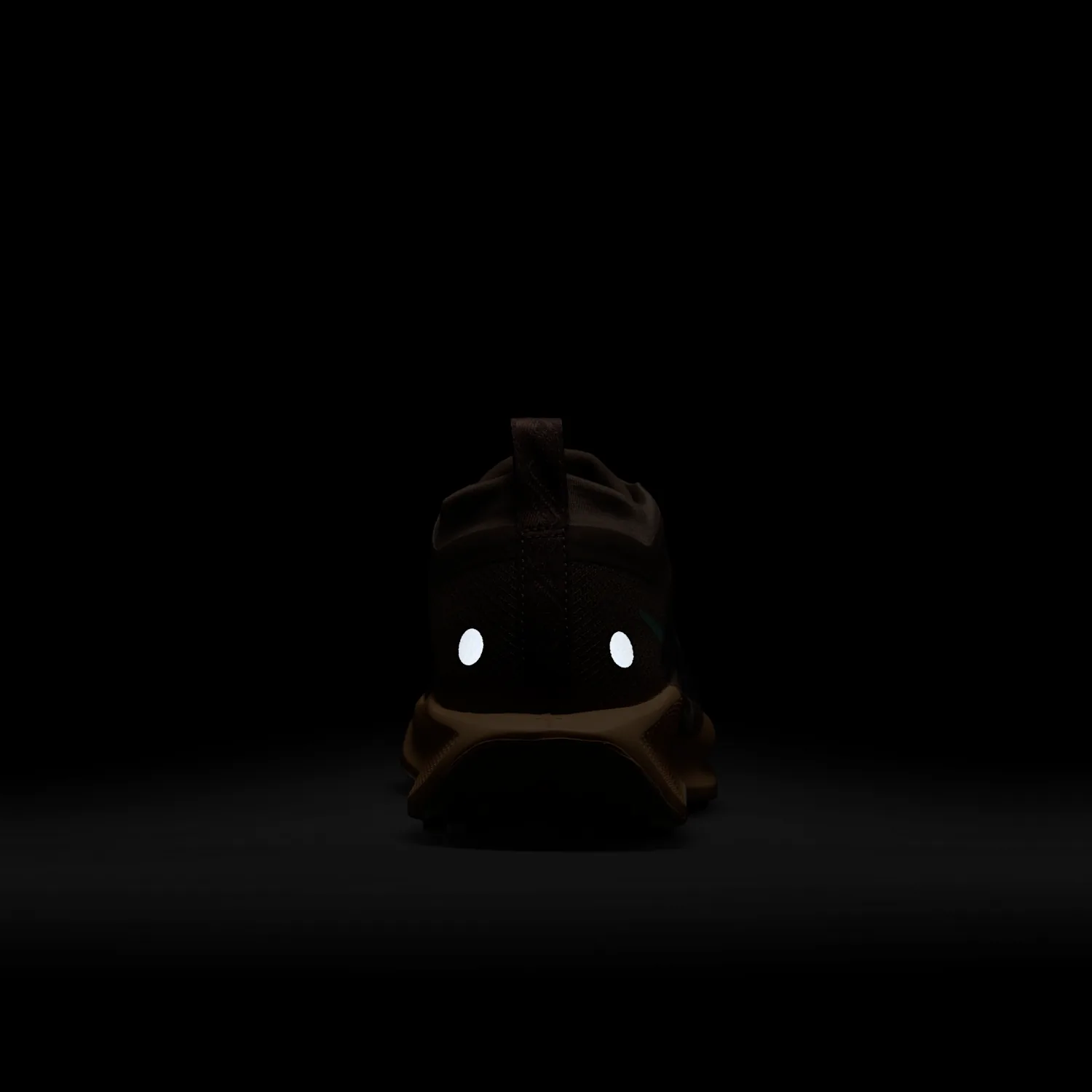 Nike Pegasus Trail 5 GORE-TEX image 12