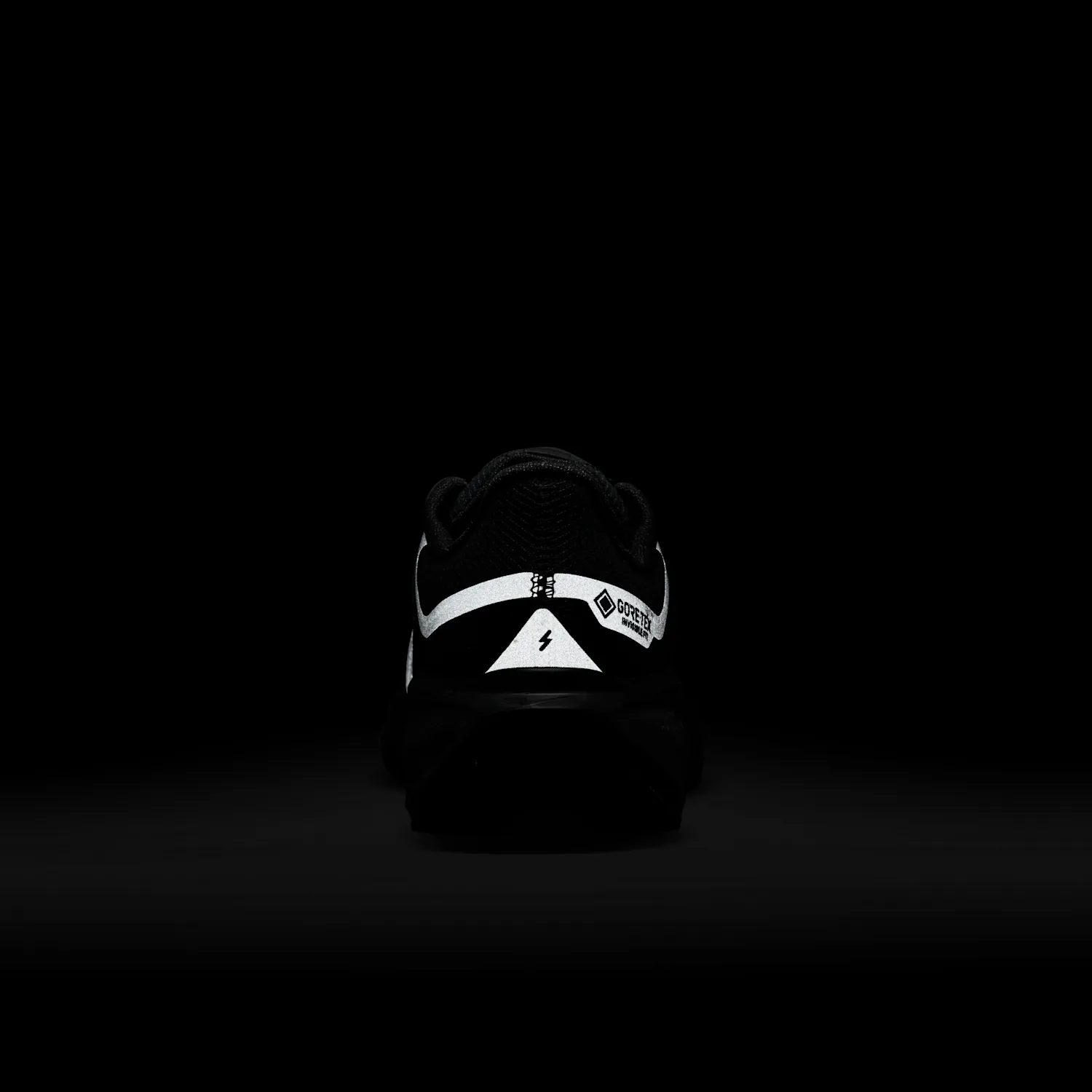 Nike Pegasus 41 GORE-TEX image 2