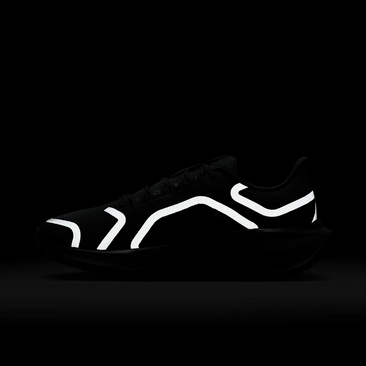 Nike Pegasus 41 GORE-TEX image 4