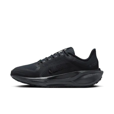 Nike Pegasus 41 GORE-TEX
